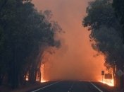 Лесные пожары в Испании: огнем охвачены около 2 тыс. гектаров