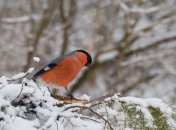 Погода на вихідні