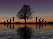 Спустя почти 140 лет: одна из теорий эволюции Дарвина окончательно доказана