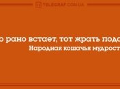 Впусти шутку в свой дом: утренние анекдоты 4 ноября