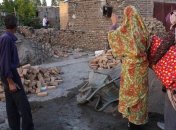 Число жертв землетрясений в Иране возросло до 220