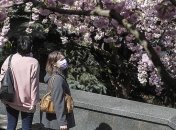 За сутки в Украине зафиксировано почти полтысячи новых больных коронавирусом 