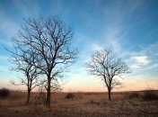 Прогноз погоды в Украине на 12 марта: в стране - солнечно