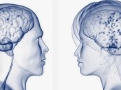 Ученые: Мужчины ориентируются лучше женщин  