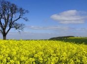 Синоптики знову прогнозують спеку, потім знову дощі