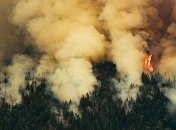 Определен уровень ущерба от пожаров в Канаде