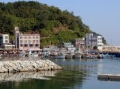 Составлен рейтинг городов мира, популярных для ловли покемонов 