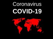 Клиническое испытание: во Франции больным Covid-19 перельют плазму крови выздоровевших пациентов