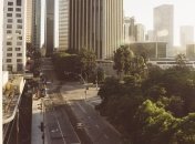 Посадка деревьев может предотвратить около 3% от всей годовой смертности