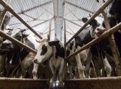 Минагропрод выступает за улучшение продукции молочных кооперативов