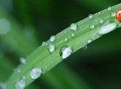 "Приручили" дождь: создан генератор электричества на основе капель