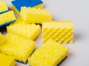 Зачем класть губку в холодильник