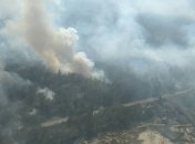 В Чернобыле горит "Рыжий лес": спасатели сообщили о радиационном фоне 