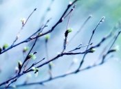 Когда морозы и снегопады уйдут из Украины: прогноз синоптика