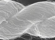 Впервые ученые смогли вырастить искусственные мышцы человека