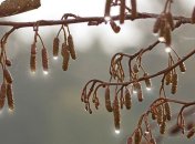 Какой завтра праздник: приметы и обряды на 16 ноября