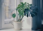 Підвіконня можна відмити просто водою, проте до неї потрібно додати оцет