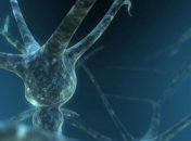 Ученые обнаружили белок, предотвращающий размножение вирусов в организме