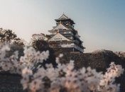 Волшебная Япония на снимках фотографа из Сиднея (Фото)