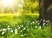 Резкие скачки от холода к теплу: синоптики рассказали, какой будет погода летом