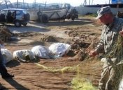 В Азовском море браконьеры наловили рыбы на 260 тысяч грн