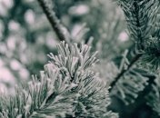 Какой праздник 2 февраля: народные приметы и запреты