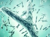 Ученые назвали причину резкого уменьшения количества мужчин в древности 