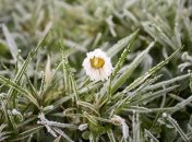 Какой завтра праздник: обычаи и традиции на 3 декабря