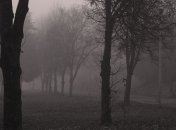 Прогноз погоды в Украине на 10 декабря: температура воздуха упадет 