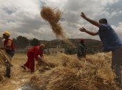 Ущерб сельского хозяйства в Молдавии составил $73 млн