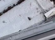 Шалость не удалась: киевляне опробовали рискованную "утилизацию" новогодней елки (видео)