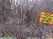 ЕС даст деньги для улучшения ситуации на Приднепровском химзаводе