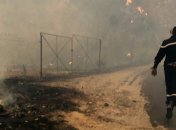 Лесные пожары в Алжире унесли жизнь 42 человек (фото, видео)