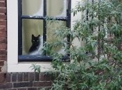 Листопад приготував для українців ще одну хвилю морозів: синоптик розповів, коли на них чекати