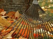 Засучиваем рукава и принимаемся за работу: что нужно сделать в саду в ноябре