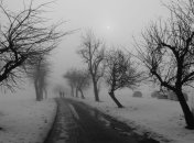 Погода в Украине на 22 декабря: местами дождь с мокрым снегом, туман