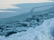 Собака провалився під кригу в Ірпені