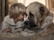 Ученые доказали связь детей с собаками 