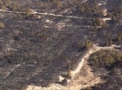 Лесной пожар в Херсонской области удалось ликвидировать