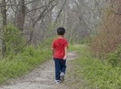 Шестирічна дитина загубилася під час підйому на Говерлу: пошуки не дають результатів