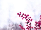 Погода на январь в Украине