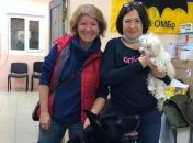 Допомогти хворим на ковід і не втратити нирки: як українські волонтери рятують життя, по крихтах збираючи гроші на кисень