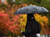 Иллюстративное фото