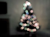 Пожарные советуют выбросить елку через окно, если она загорелась