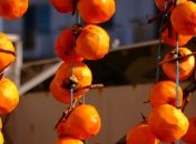 Врачи назвали вкусный продукт, нормализующий пищеварение