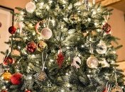 За сколько можно будет купить новогоднюю елку в этом году: озвучены цены