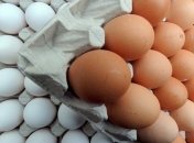 Особенности яичной диеты