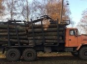 ГПУ заявила о подозрении служащим лесничества Харьковской области