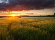 Прогноз погоды в Украине на 3 сентября: дождей не предвидится