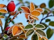 25 февраля - приметы и обряды в День Алексея